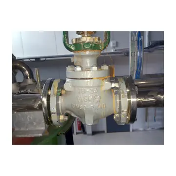 Van điều khiển dạng globe lắp trên đường ống