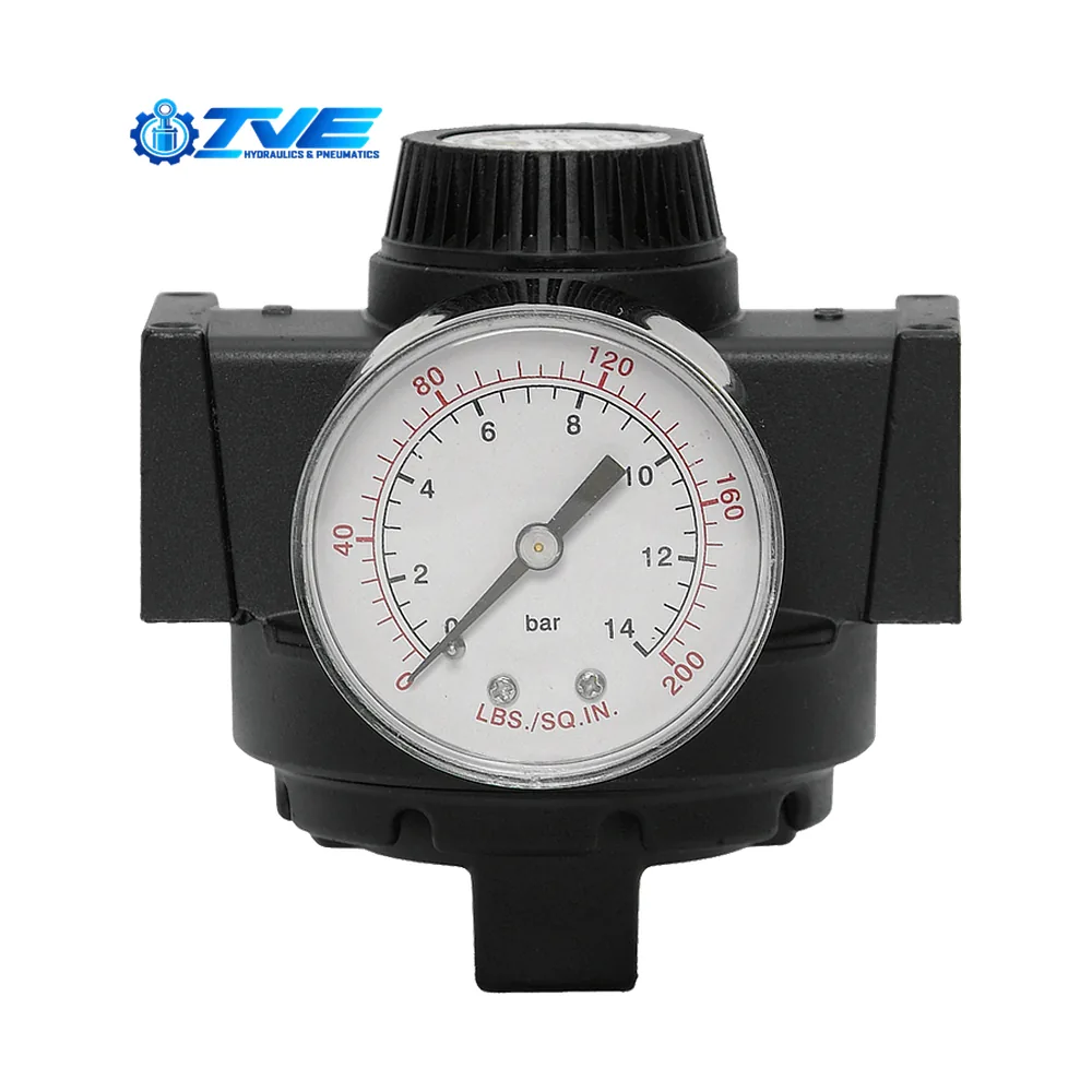 Full-Size Series Remote Pilot Reg - Hãng ROSS Controls